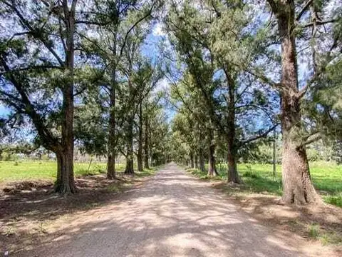 Terreno en Venta en Abasto, USD 14.000