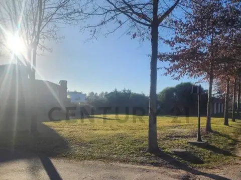 Terreno en Venta de 905,0 m2