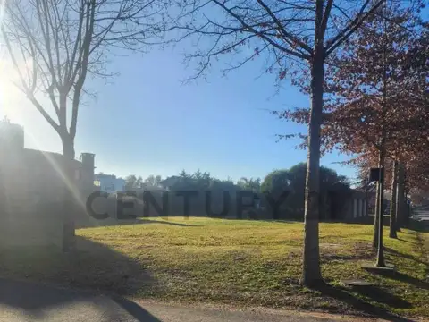 Terreno en Venta 29  mts Fondo