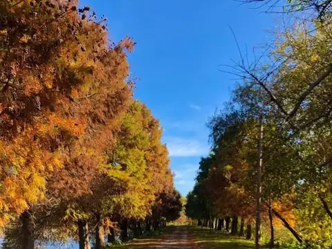 Casa en Alquiler 1 año