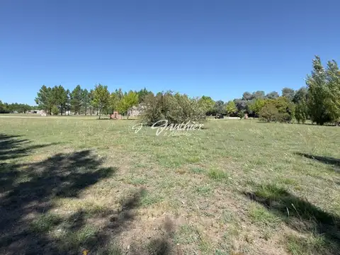 Terreno en Venta 19  mts Fondo