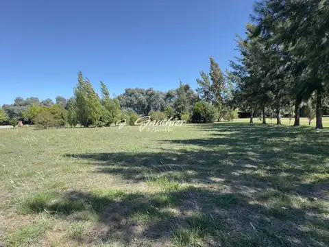 Terreno en Venta 48  mts Frente