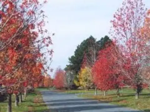 Terreno en Venta en Pilar Centro, USD 420.000