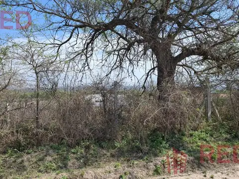 Terreno en Venta 49  mts Fondo