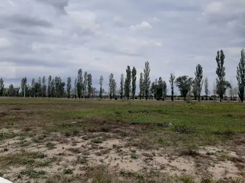 Ruta Provincial 9 100