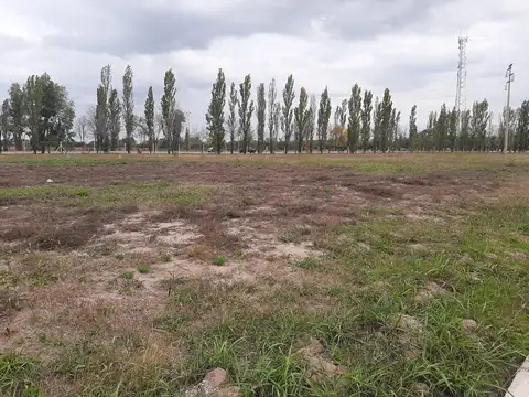 Terreno en Venta de 600,0 m2