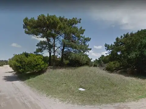 Punta del Este y Calle 100