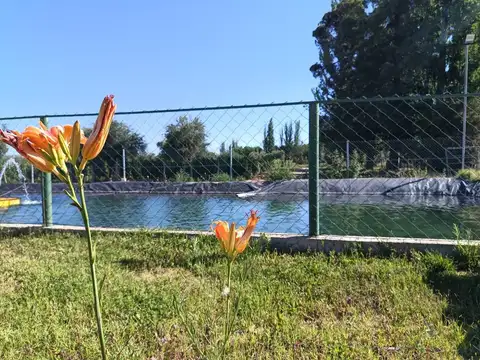 LOTE EN VENTA B° PRIVADO AYRES DE TERRADA 500m2