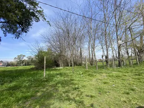 Terreno - Manuel B Gonnet