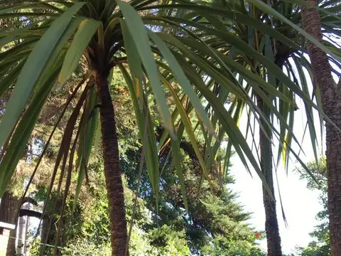 Casa - Playa Mansa