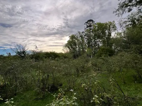 Lotes en venta de 479.97m2 ubicado en Gualeguaychú