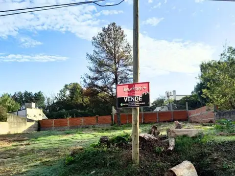 Coldaroli