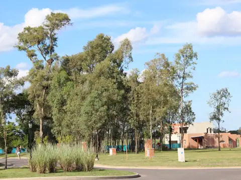 Terreno en Venta en Pilar del Este - Santa Lucia, USD 47.000