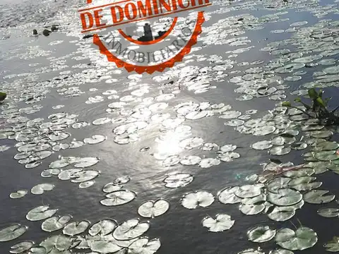 Terreno en Venta de 500,0 m2