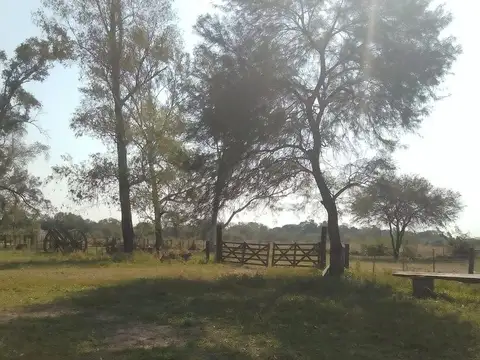 5.400 ha, Estancia Mongay, Chaco. Las Palmas.