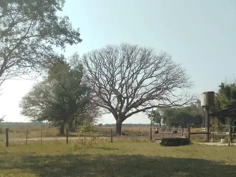 Campo en  Venta - CHACO, DPTO BERMEJO, ESTANCIA MONGAY, 5.700 Ha.