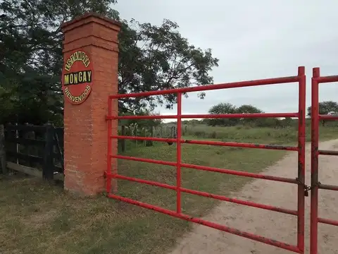Campo en  Venta - CHACO, DPTO BERMEJO, ESTANCIA MONGAY, 5.700 Ha.