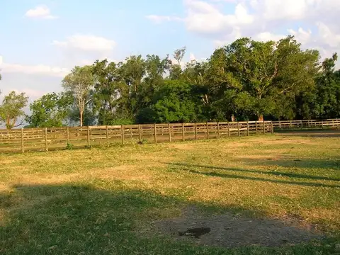 Campo en  Venta - CHACO, DPTO BERMEJO, ESTANCIA MONGAY, 5.700 Ha.