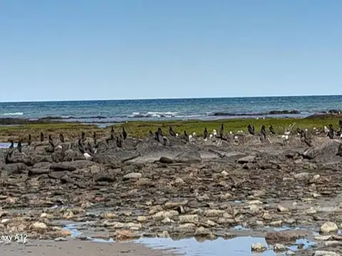 Piedras Coloradas Aldea de Mar 100