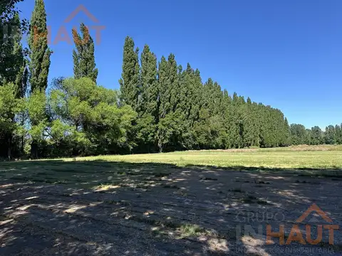 VENTA DE CHACRA EN CIPOLLETTI