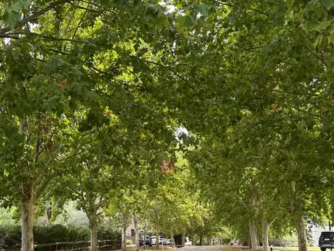 Terreno Lote  en Venta en Altos de Manzanares, Pilar, G.B.A. Zona Norte