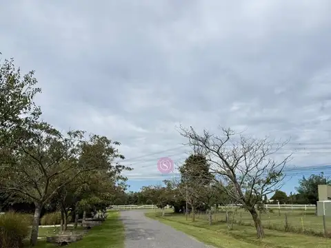 Terreno en Venta de 1333,0 m2