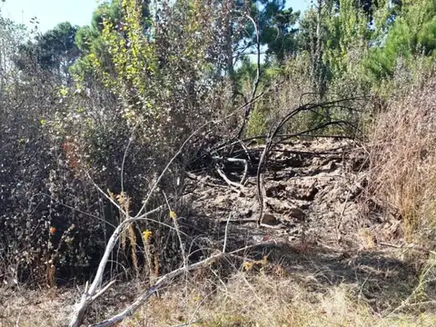 Terreno en Venta en San Clemente del Tuyú, USD 22.000