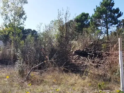 Lote de Terreno