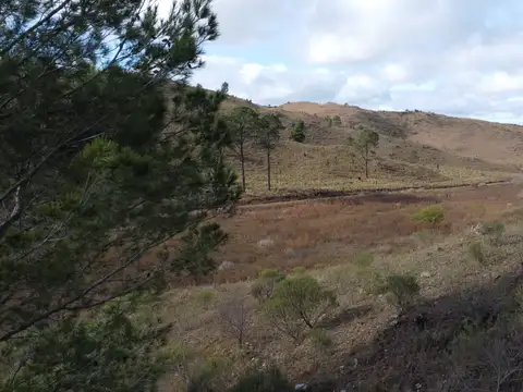 Terreno en Venta 49  mts Fondo