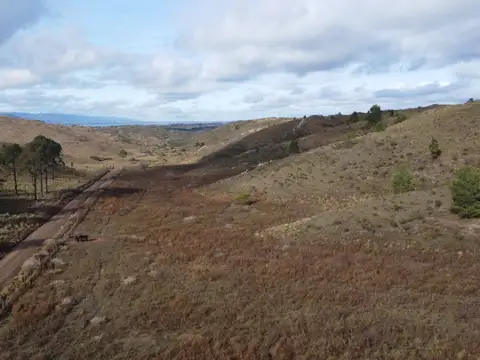 Terreno en Venta 49  mts Frente