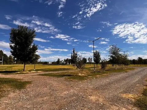 Terreno en Venta de 1550,0 m2