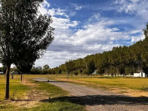 Terreno en Venta en Villa Regina, USD 75.000
