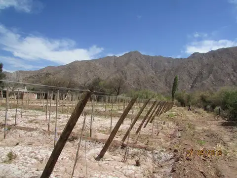 Quinta en Venta en Copacabana, USD 145.000