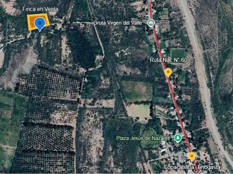 SE VENDE FINCA C/BODEGA, CAVA Y PARRAL, 7083 M2