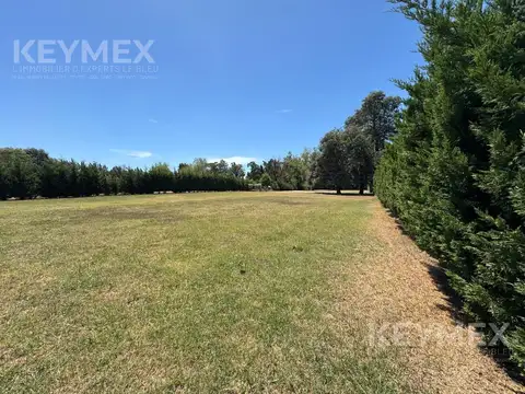 Terreno en Venta de 1504,0 m2