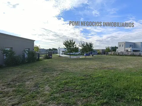 PILAR DEL ESTE SANTA LUCIA