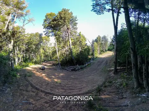 TERRENO 4500M2 APTO 2 UF LOTEO LOMA GUACHA