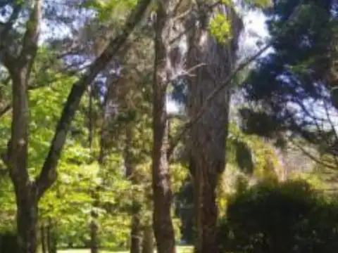 Terreno en Venta de 1008,0 m2