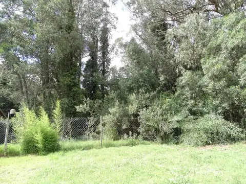 venta lote colina alegre