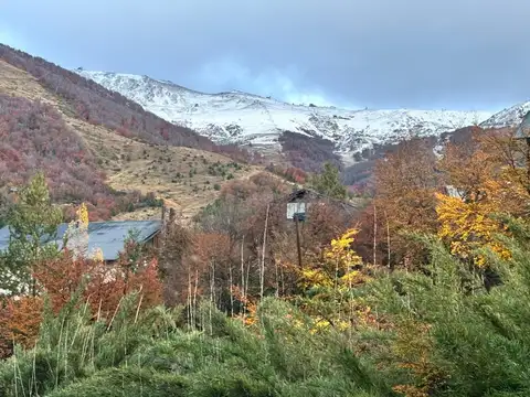 Francisco Jerman 100, Piso 1