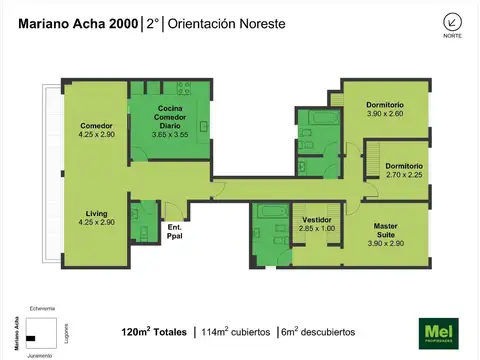 Mariano Acha 2000