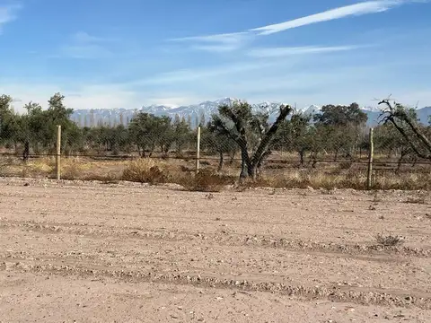 Terreno en Venta de 300,0 m2