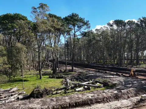 Terreno en Venta 50  mts Frente