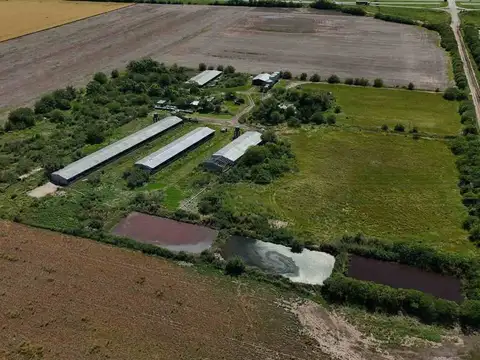VENTA CRIADERO DE CERDO INTENSIVO. ACEPTA PERMUTA