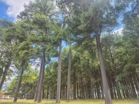 VENTA LOTE  CENTRAL 1536 M² PINARES COUNTRY CLUB,