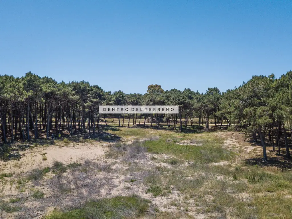 Btwins Norte - Foto 17