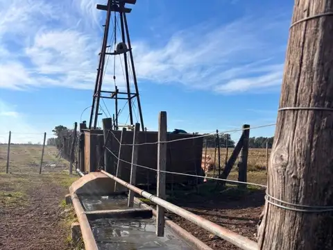 Venta Campo 5 hectáreas Croto Tapalque