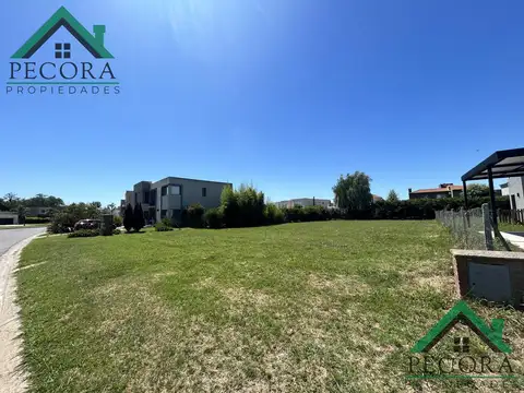 Terreno en Venta 50  mts Fondo