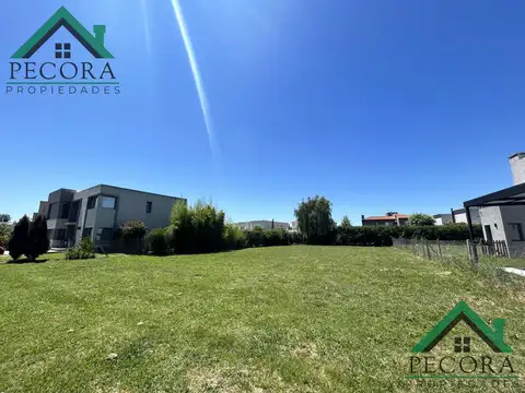 El Atardecer - lote 469 - Haras Santa Maria