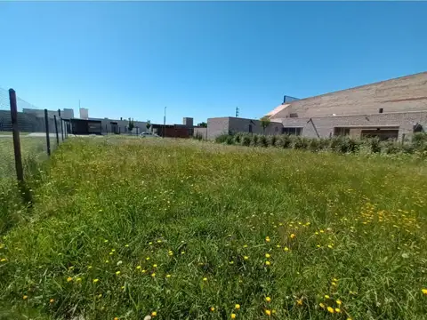 Cimarrón y Fuerza Aérea